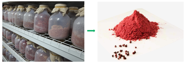 Red Yeast Rice powder Supplier
