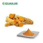 Serbuk Ekstrak Curcumin