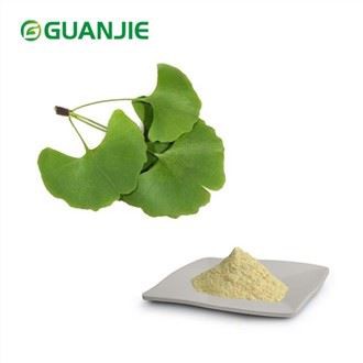 Serbuk Ekstrak Daun Ginkgo Biloba