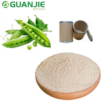 Serbuk protein kacang borong