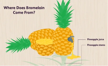 bulk Bromelain Enzyme Powder bulk Bromelain Enzyme Powder