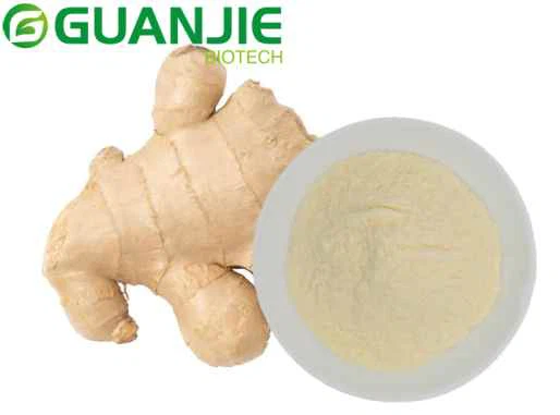 natural ginger root extract powder natural ginger root extract powder