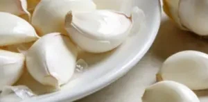 fresh garlic fresh garlic