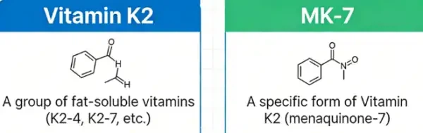 Are Vitamin K2 And MK-7 The Same Are Vitamin K2 And MK-7 The Same