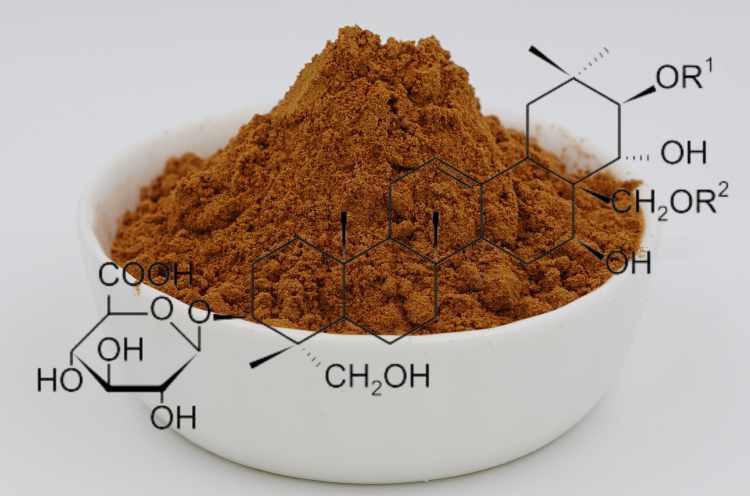bulk Gymnemic Acids bulk Gymnemic Acids