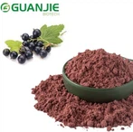 Serbuk Ekstrak Anthocyanin